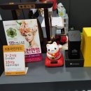 정자샾염색 네이버블로그