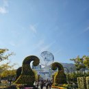 시냇가 푸른나무 유치원 | 마산가고파국화축제 실시간 개화상황, 주차장, 국화 전시품, 야간개장, 11월 5일 방문후기