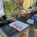 탄금호의 아침 이미지