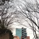 서강의원 | 서강대학교 대입전문가 과정 _4주차