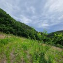 다두농장 이미지