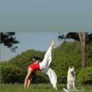 허그안 힐링캠프 이미지