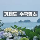 썬트리 트래블 이미지