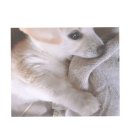 한량 - 마포구 와우산로32길 11 | 한량