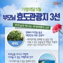 효도니