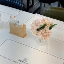 목포맘들의수다방단비하우스 | 돌잔치 후기 목포 ‘특별한날 디딤’ 소규모 돌잔치로 좋은 곳