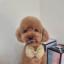 사계절, 몽 이미지