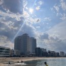 파라다이스코브 | 바다 앞 숙소,고성 펜션 파라다이스코브/파라다이스코브빌라[단독주택] 대만족 후기!_7인 가족