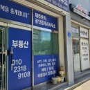 행복제주공인중개사사무소 이미지