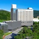 호텔휘닉스 이미지