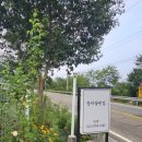 장미꽃핀집 이미지