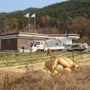 두암마을회관 이미지