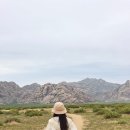 돌산가축 이미지