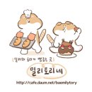 카톡 업데이트 새로 추가된 기능.jpg 이미지