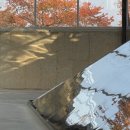 신평동1072 이미지