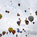 fiesta 이미지