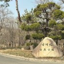 남구-015 | 골린이 첫 라운딩 후기 | 225 골프화, 준비물, 꿀팁, 골프 매너 | 선리치cc