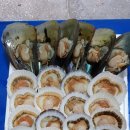 성주로50 캠프앤펜션 이미지