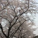 용연사길 이미지