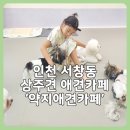 약지애견카페 | 인천 서창동 아이랑 가기 좋은 상주견 애견카페 약지애견카페 서창점 내돈내산 후기 실내데이트 추천
