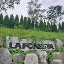 LAFORESTA(라포레스타) 이미지