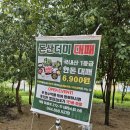 돈산더미 대패