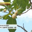 ㈜등푸른식품 이미지