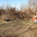 서부공원녹지사업소 화장실 이미지