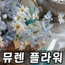 뮤렌 | 울산 24시 꽃집 뮤렌플라워 화이트데이 델피늄 꽃바구니 후기