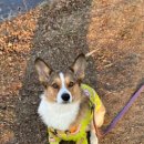 하우에버 포우에버 이미지