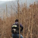 무진장농원 이미지