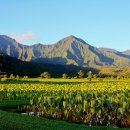 *◐* 복사꽃 필 무렵 *◑* 이미지