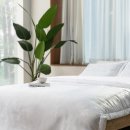 세이에너지 이미지