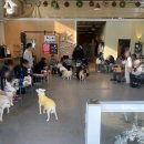 카페훈트 이미지