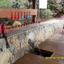 천주산 등산로 이미지