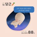[임신25주~28주] 임당 재검 &amp; 통과｜육아용품 준비(보르르 분유포트, 바디수트)｜아산병원 정기검진...