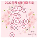 2022년 전국 벚꽃 개화 지도 이미지