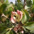 종복농장 이미지