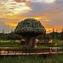 정전70주년 기념 이미지