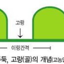 방주농장 이미지