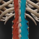 코어피트니스 우정점 이미지