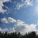 청명홀딩스 이미지