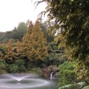 라그로타 | 화담숲 10월초 단풍 현황 : 없을 무(+ 라그로타 후기)