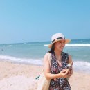 다낭