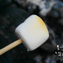 바다향가득한 이미지