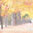 사진이야기 - 제주시 관덕로 36 | 사진이야기