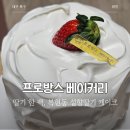 프로방스베이커리 | 대구 딸기케이크 딸기 한팩이 들어간 프로방스베이커리 내돈내산 후기