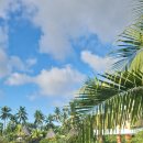 호텔 행아웃 | 둥이들과 함께한 2주간의 발리여행(feat. 쁠랑이스쿨)