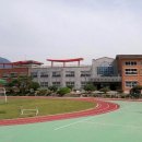 도계초교 이미지