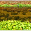 상동시민의강 이미지